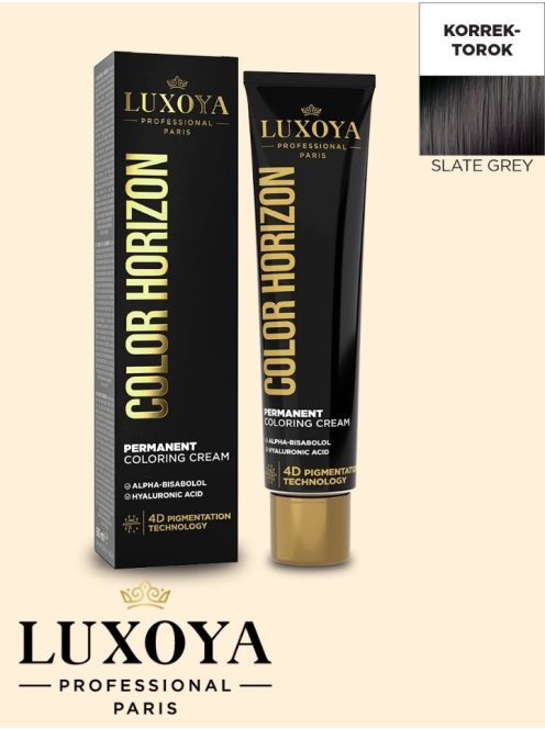 COLOR HORIZON SLATE GREY - Palaszürke Ammóniás hajfesték 60ml