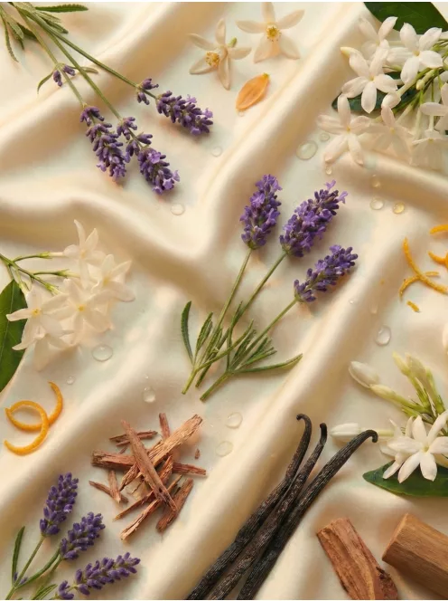 Romeron Platin – Angelina's Morning | Női Eau de Parfum 50 ml