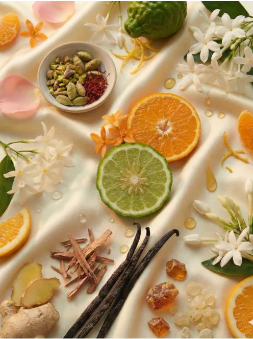 Romeron Platin – Dubai Dream | Női Eau de Parfum 50 ml