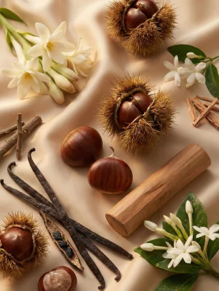 Romeron Platin – Creamy Wood | Női Eau de Parfum 50 ml