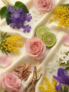 Romeron Platin – Grand Palazzo | Női Eau de Parfum 50 ml