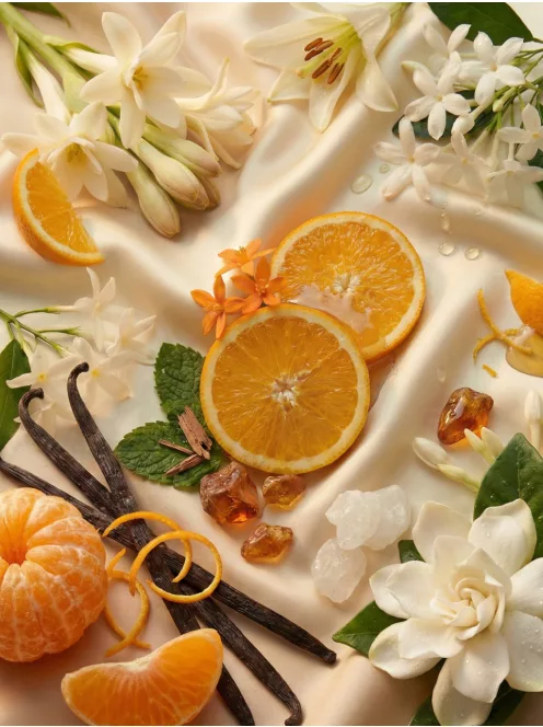 Romeron Platin – Creative Flow | Női Eau de Parfum 50 ml