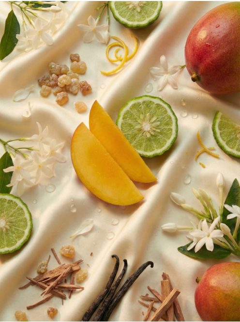 Romeron Platin – Hollywood Glam | Női Eau de Parfum 50 ml