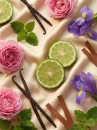 Romeron Platin – Bella Villa | Női Eau de Parfum 50 ml