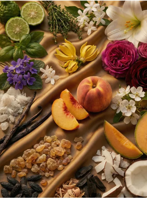 Romeron Platin – Wonderful Island | Unisex Eau de Parfum 50 ml