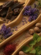 Romeron Platin – Spiritual Woods | Unisex Eau de Parfum 50 ml