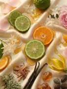 Romeron Platin – Dream Sand | Női Eau de Parfum 50 ml