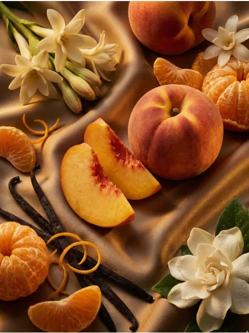 Romeron Platin – Glass House | Unisex Eau de Parfum 50 ml