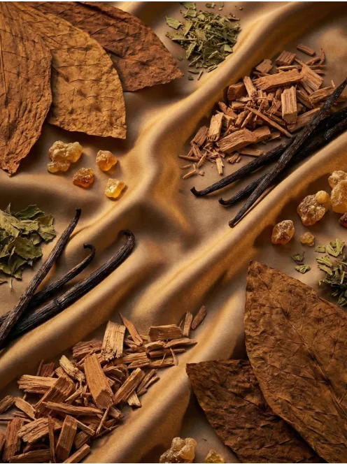 Romeron Platin – The Senator | Unisex Eau de Parfum 50 ml